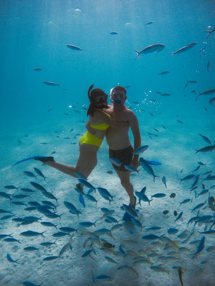 A Couple Diving in the Ocean 